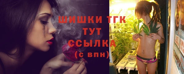 Альфа ПВП Белокуриха