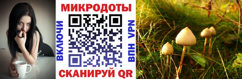 Псилоцибиновые грибы прущие грибы  Богородск 